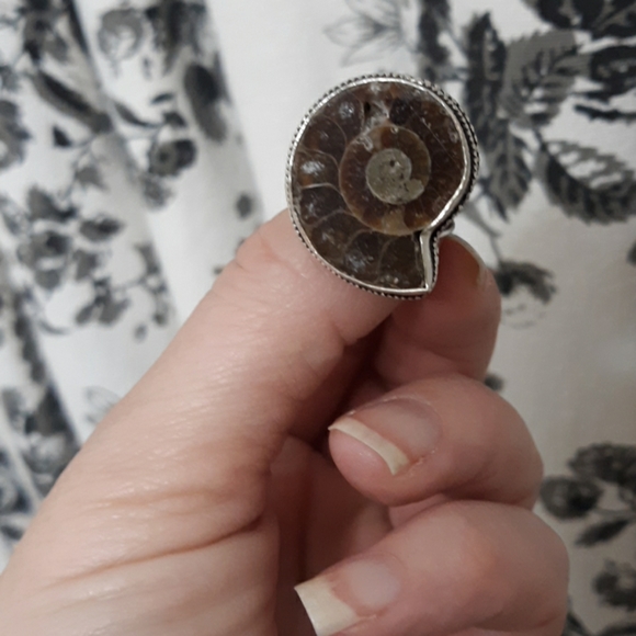New Ammonite Fossil 925 Silver Ring. - Picture 7 of 8